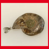 Natural Ammonite Shell Pendant